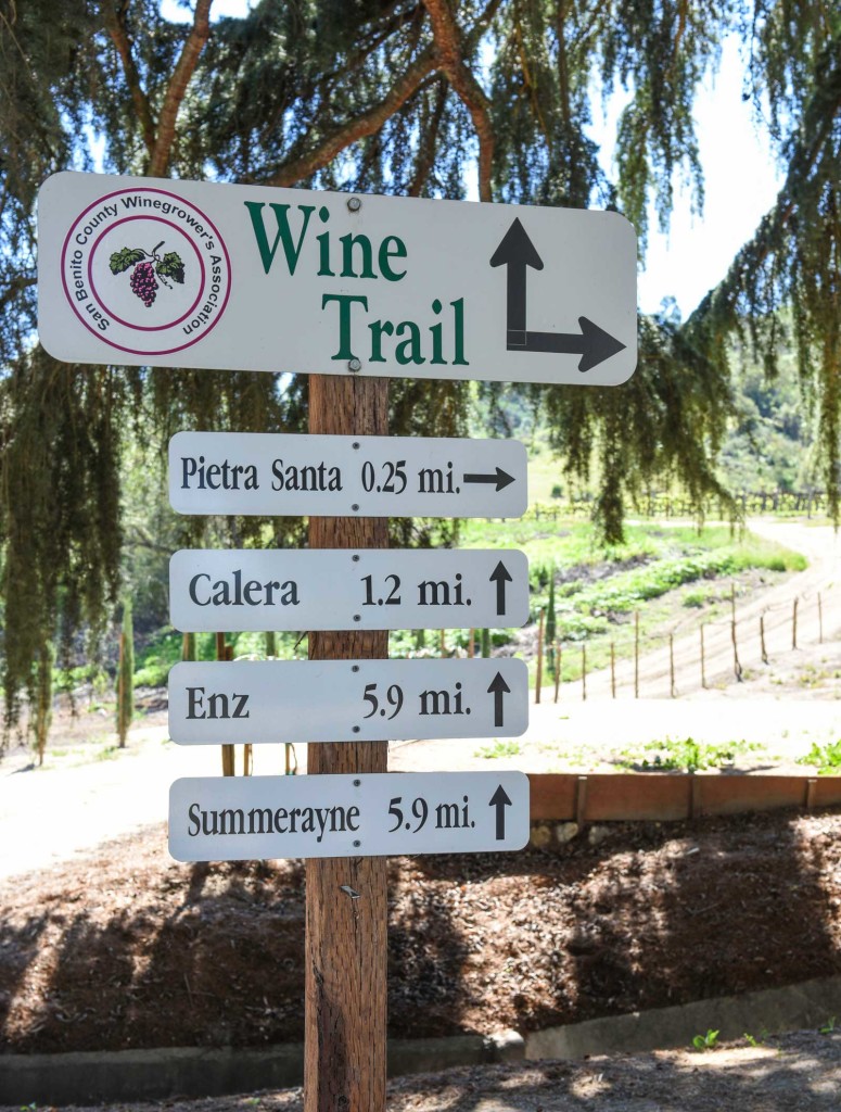 San Benito County Wineries Wine Trail