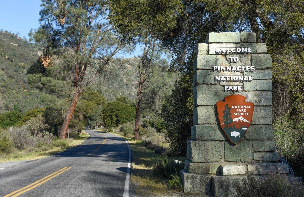 sbccc_birding_pinnacles