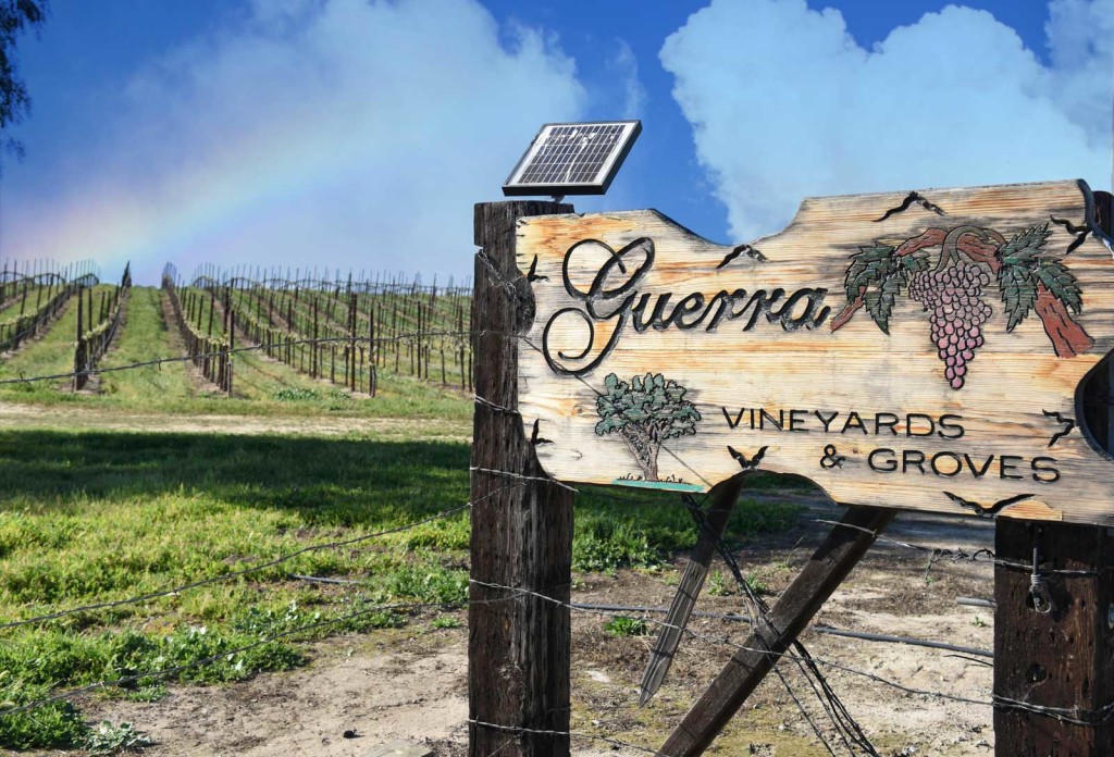 San Benito County Wineries Guerra